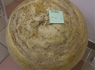 Шар d552мм ( Travertino Oro )